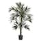 6ft. Potted Kentia Palm Silk Tree